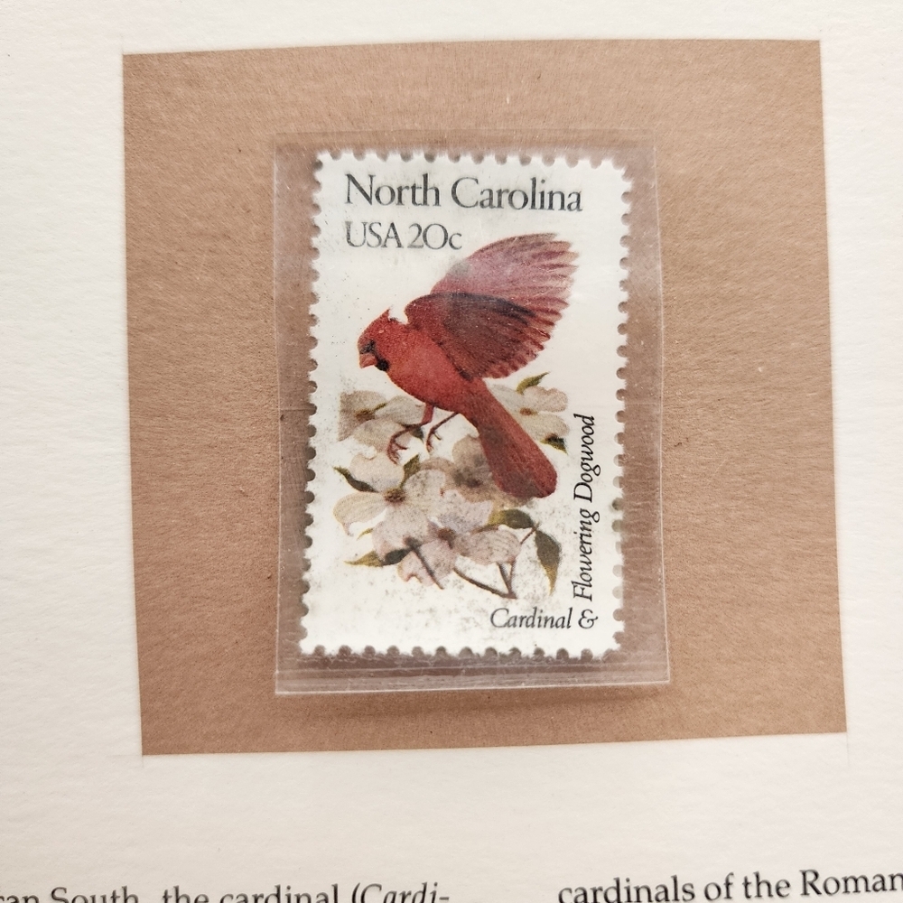 34 RSPB Songbirds of the World Stamps Vintage Royal Society British - Picture 10 of 13